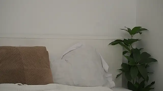 adisson fox online show from November 6, 7:09 am