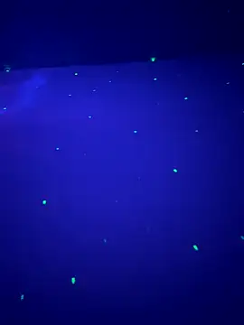 sweetttr online show from September 16, 8:32 pm