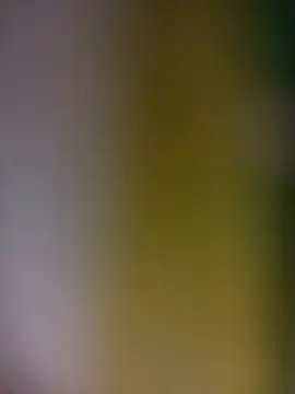 tulipsexy online show from February 19, 3:35 am