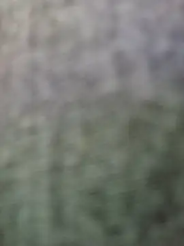 Snapshot of JeffersonRay chatting on January 7, 1:52 am JeffersonRay online show from January 7, 1:52 am