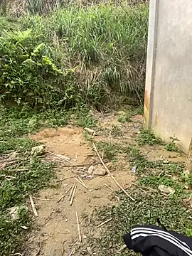 phuongxinhxan online show from March 31, 1:40 am