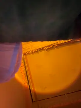 Snapshot of Tramy_xx chatting on January 6, 3:21 am Tramy xx online show from January 6, 3:21 am