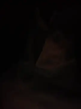 Snapshot of Halyy_xx chatting on March 4, 1:28 pm Halyy xx online show from March 4, 1:28 pm