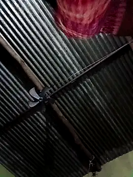 Haliya88 online show from October 27, 11:31 pm