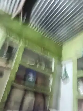 Haliya88 online show from November 11, 11:16 pm