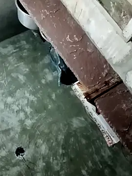 Rupali ji online show from November 9, 7:56 pm