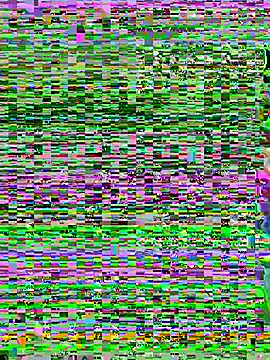 Snapshot of aoyo66 chatting on November 5, 12:16 pm aoyo66 online show from November 5, 12:16 pm