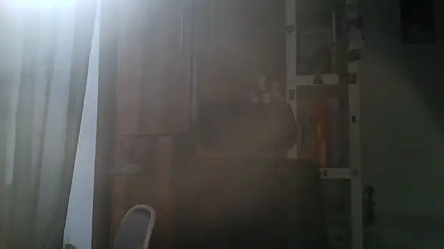 Lorivell online show from November 19, 11:21 am