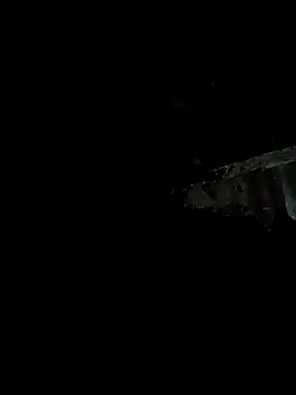 bree-zz online show from January 11, 10:37 pm