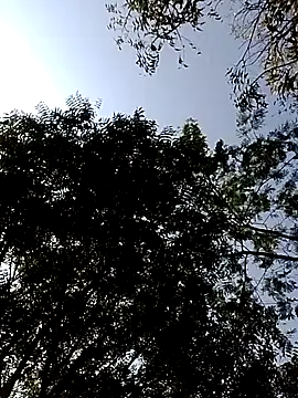 Rs sonam online show from February 14, 3:47 am