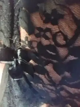 misteriosabb000 online show from March 17, 6:33 pm