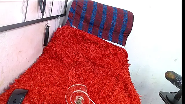 codorniz2025 online show from January 8, 8:33 pm