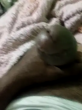 sam salman online show from February 9, 10:03 pm