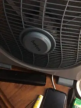 -bunny06 online show from October 2, 7:10 pm