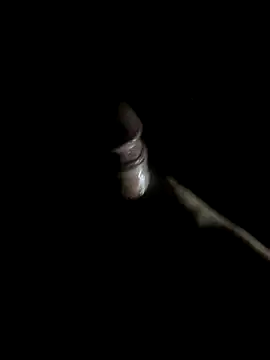 -bunny06 online show from October 10, 9:52 am