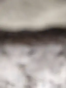 PEEHU-50 online show from March 12, 2:18 am