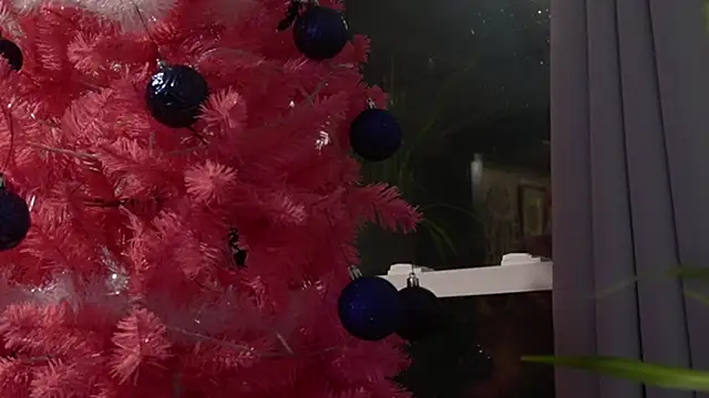 Vox Personas online show from December 18, 6:41 am