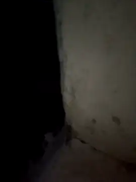 LOVE-VIKA online show from February 16, 1:07 pm