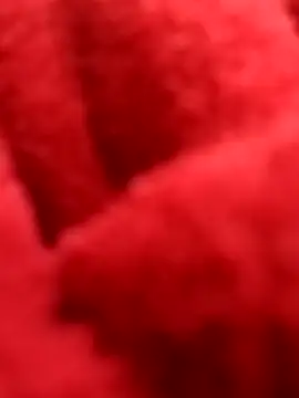 ProXydelhi online show from February 7, 11:19 pm