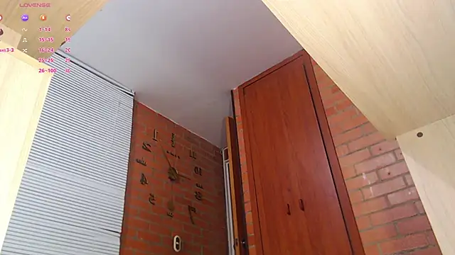 Snapshot of Salome-sw chatting on February 1, 1:55 am Salome-sw online show from February 1, 1:55 am