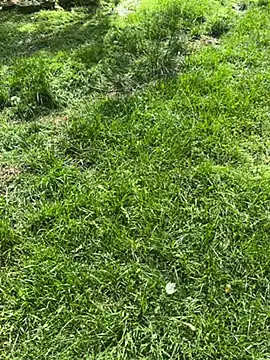 Joshman96 online show from April 28, 11:43 pm