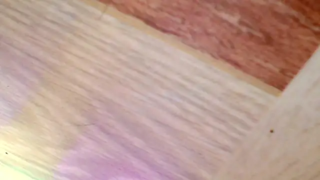 Snapshot of shannon_kinne_ chatting on March 31, 4:40 pm shannon kinne online show from March 31, 4:40 pm