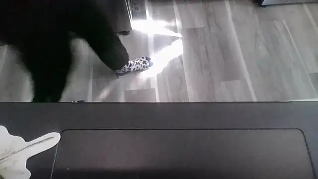 october1992xx online show from November 9, 4:38 pm