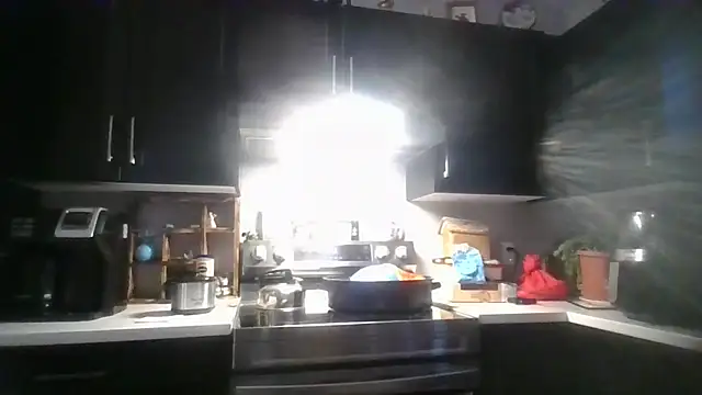 october1992xx online show from December 14, 8:46 pm