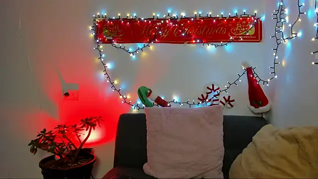 thiago occonor online show from November 14, 1:59 am