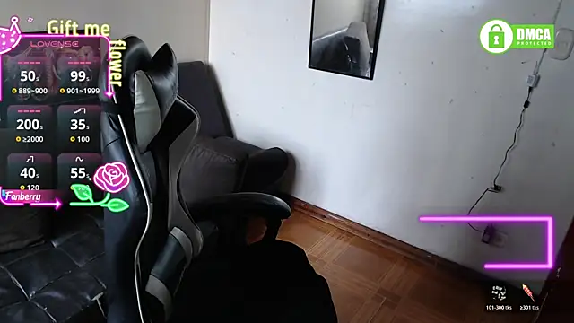 Snapshot of MelRaiise chatting on January 12, 2:00 pm MelRaiise online show from January 12, 2:00 pm