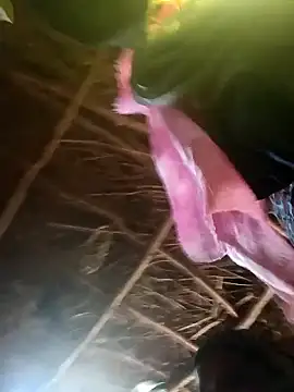 Janvi tv online show from October 31, 5:19 am