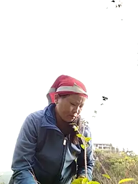 sumaybae online show from October 28, 1:09 am