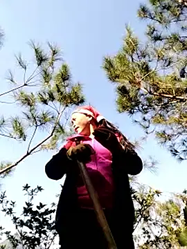 sumaybae online show from November 27, 6:15 am