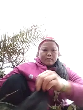 sumaybae online show from December 14, 9:47 am