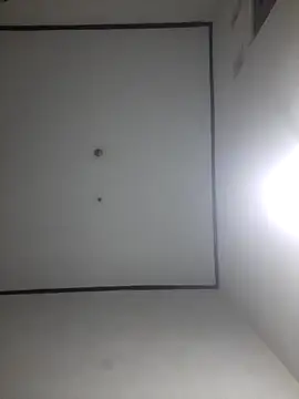 wibunewbie online show from December 18, 3:51 pm