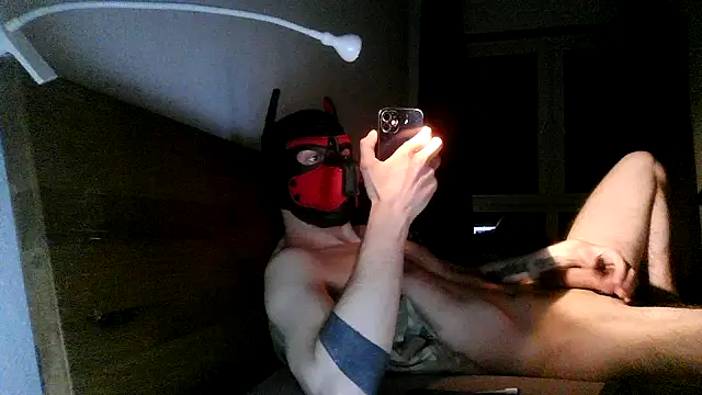 MolleDolle online show from December 2, 7:31 pm