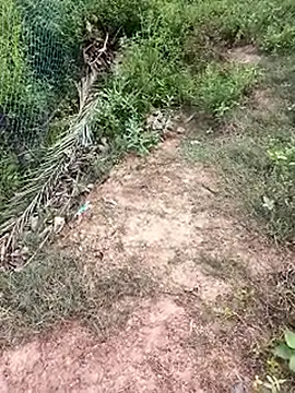 MalickKai online show from October 14, 10:49 am