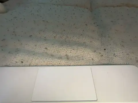 goddesemiiyy online show from November 18, 6:34 pm