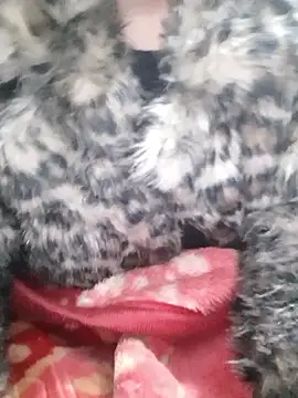 Snapshot of Mahi677 chatting on January 8, 6:43 pm Mahi677 online show from January 8, 6:43 pm