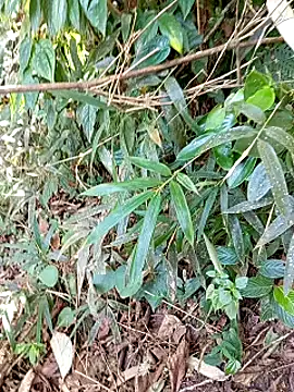 jerry-xx online show from October 29, 12:57 am