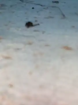 Snapshot of Ut_kanchna chatting on October 26, 12:22 pm Ut kanchna online show from October 26, 12:22 pm