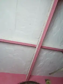 Snapshot of Ut_kanchna chatting on November 15, 2:35 pm Ut kanchna online show from November 15, 2:35 pm