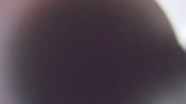 Stefano Calle online show from December 3, 11:41 am