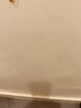  Gabriela 5Live online show from November 10, 5:12 pm