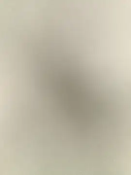 Anchal-8798 online show from December 17, 6:14 pm