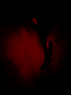 MoonQxX online show from January 9, 5:26 pm