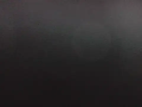 puppy2s online show from October 16, 3:07 am