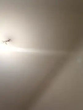 labellerose online show from January 9, 5:59 pm