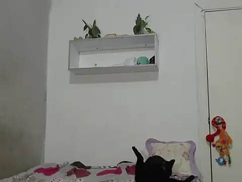 Renata Rivas online show from February 25, 3:49 am