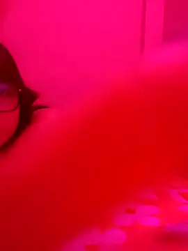 xcodigorojo online show from November 20, 6:57 am